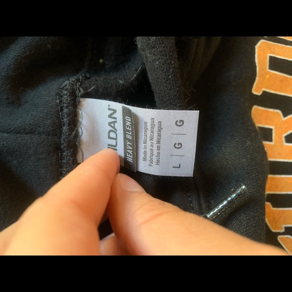 Large Murder Hornets Hoodie - Picture 2 of 2